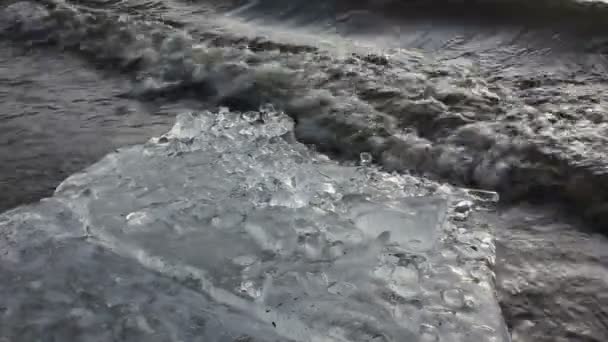 冰、 海洋和沙滩 — 图库视频影像