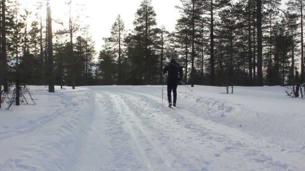 Ski de fond — Video