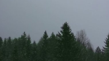 Kar ve kar fırtınası