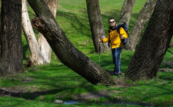 Turista homem com o telefone passa pelo forestry01 — Fotografia de Stock