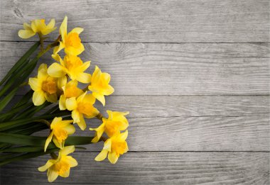 Ahşap dokulu bir arka plan üzerinde sarı nergis