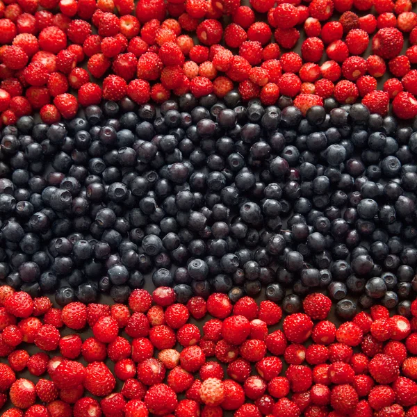 Background of Forest berry strawberries and blueberries