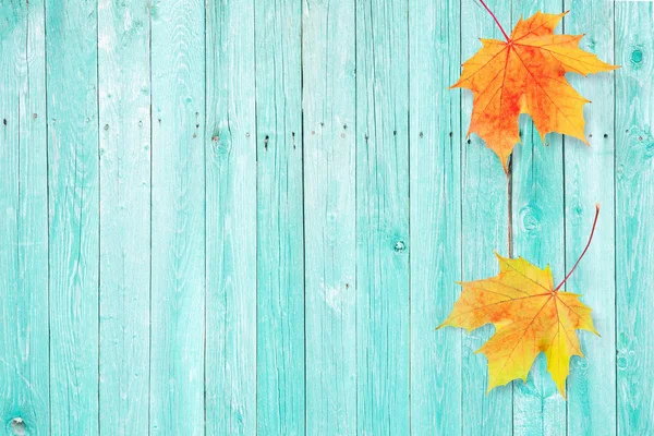 Renkli akçaağaç ile sonbahar arka plan eski ahşap tahta üzerinde yapraklar
