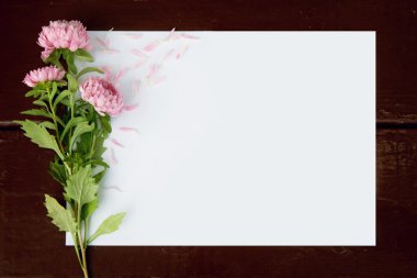 Çiçekler aster ile boş kartı