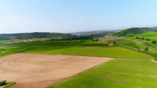 Vista aérea dos campos verdes no campo — Vídeo de Stock