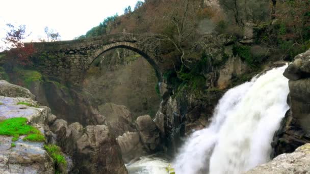 Waldbergbach. Wasserfall aus reinem Süßwasser im Wald in den Bergen — Stockvideo