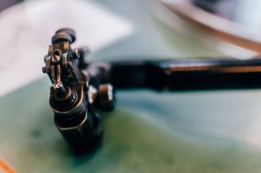 Amsterdam 'da gerçek bir elması tutacak pense Hollanda' da