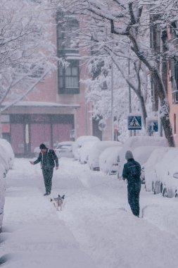 Madrid, İspanya - Ocak 2021: Filomena Fırtınası nedeniyle iki kişi ve bir köpek caddenin ortasında oynuyorlar.
