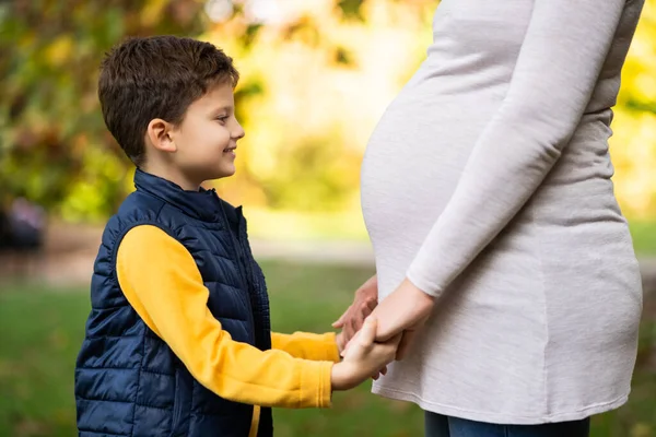 Glücklicher Junge Und Seine Schwangere Mutter Halten Herbst Händchen Park — Stockfoto