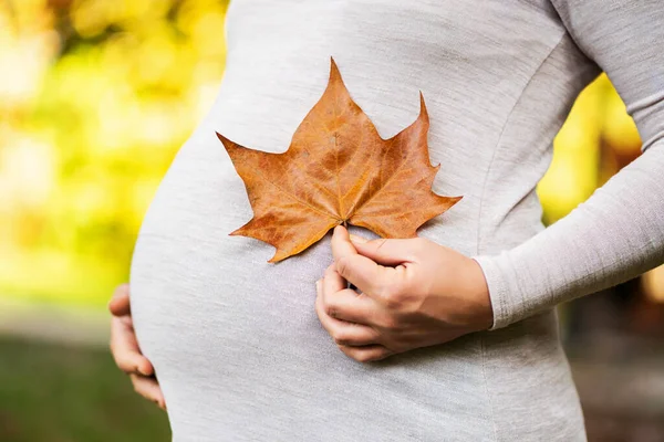 Nahaufnahme Einer Schwangeren Die Herbst Bauch Und Blatt Park Hält — Stockfoto