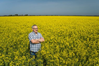 Gururlu kıdemli çiftçi kolza tohumu tarlasında duruyor. Neşeli ve güneşin tadını çıkarıyor..