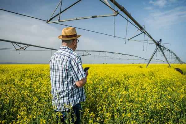 Orgoglioso Agricoltore Anziano Nel Suo Campo Colza Sta Fotografando Sua — Foto Stock