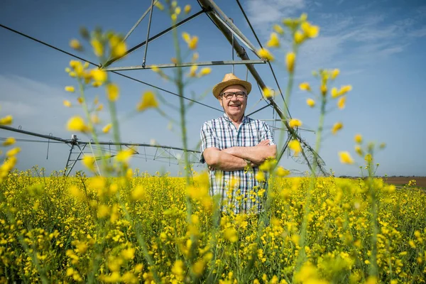 Stolzer Oberbauer Steht Seinem Rapsfeld — Stockfoto