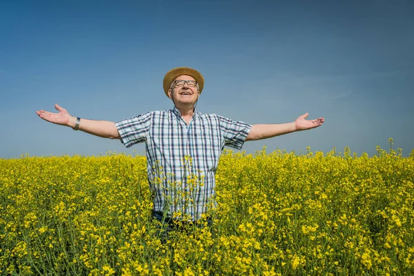 Proud senior farmer is standing in his rapeseed field. He is cheerful and enjoying the sun.