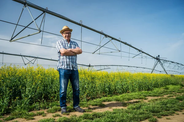 Orgoglioso Agricoltore Anziano Accanto Suo Campo Colza — Foto Stock