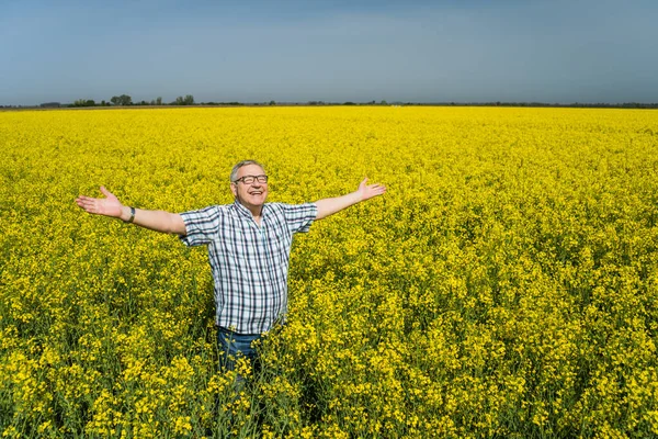 Orgoglioso Agricoltore Anziano Trova Nel Suo Campo Colza Allegro Gode — Foto Stock