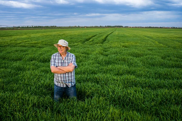 Orgoglioso Agricoltore Anziano Piedi Nel Suo Campo Orzo Godersi Tramonto — Foto Stock