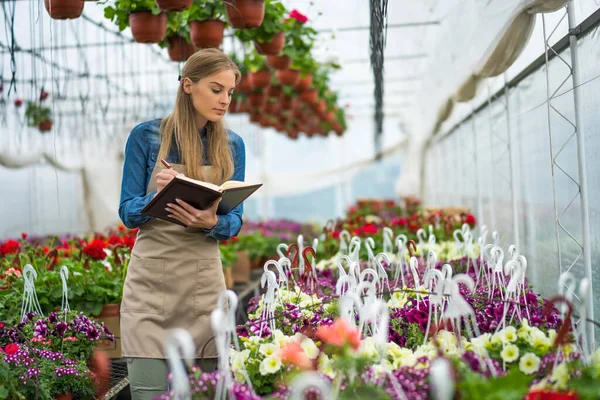 Žena Pracuje Malém Obchodě Skleníkem Zkoumá Rostliny Ženský Podnikatel — Stock fotografie