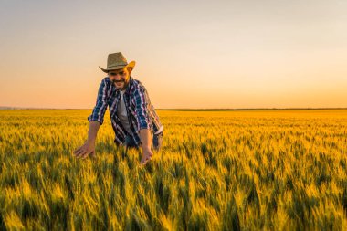 Farmer is standing in his growing wheat field. He is happy because of successful sowing. clipart