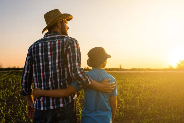 Padre Hijo Están Pie Campo Trigo Crecimiento Ellos Son Felices — Foto de Stock