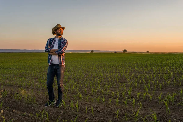 Farmer Standing His Growing Corn Field Happy Because Successful Sowing — Stock Photo, Image
