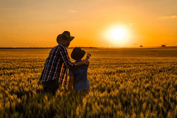 父と子は成長する小麦畑に立っています 播種が成功し 日没を楽しんでいるので彼らは満足しています — ストック写真