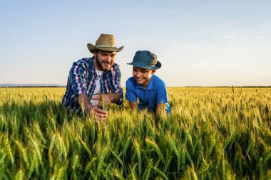 Father and son are standing in their growing wheat field. Father is teaching his successor about agriculture. clipart