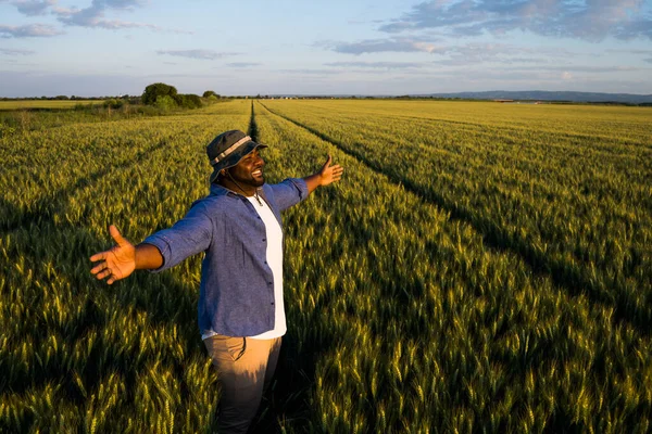 Farmer Standing His Growing Wheat Field Satisfied Successful Sowing — Stock Photo, Image