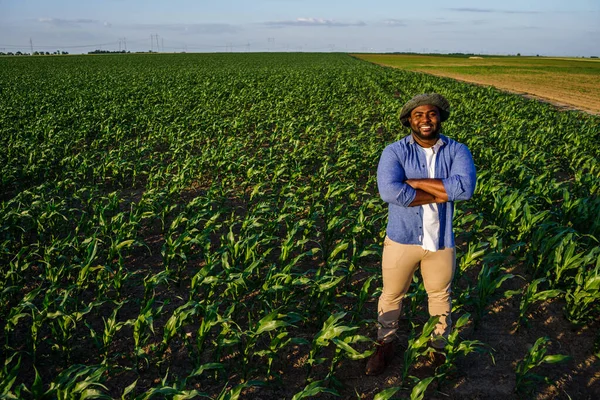 Farmer Standing His Growing Corn Field Satisfied Successful Sowing — Stock Photo, Image