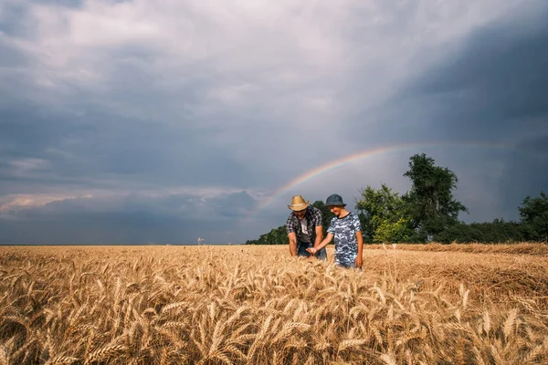 Father Son Standing Wheat Field Successful Sowing Growth Getting Ready — Stock Photo, Image