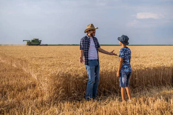 Farmers Standing Wheat Field While Harvesting Taking Place Father Teaching — Stock Photo, Image