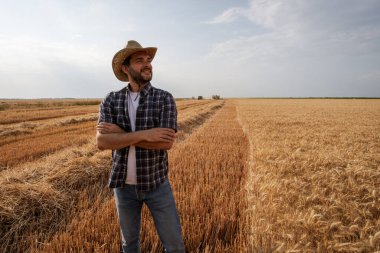 Çiftçi buğday tarlasının önünde duruyor hasat devam ederken.