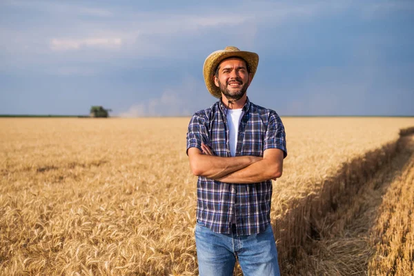 Αγρότης Στέκεται Μπροστά Από Χωράφι Του Σιταριού Ενώ Συγκομιδή Λαμβάνει — Φωτογραφία Αρχείου