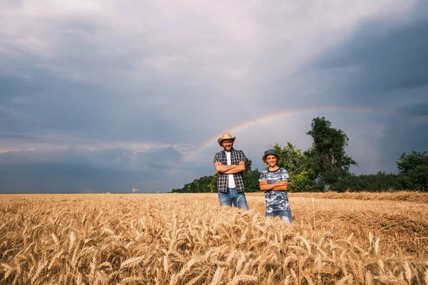 父子俩在播种和生长成功后站在麦田里 他们正准备收割 彩虹在他们身后的天空 — 图库照片