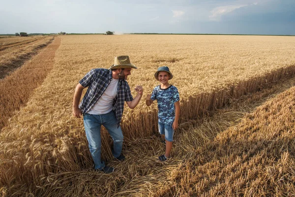 Jordbrukarna Står Sitt Vetefält Medan Skörden Pågår Far Lär Sin — Stockfoto
