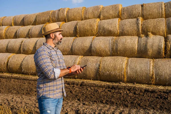 Farmer Standing Bales Hay Examining Straw Successful Harvesting — Stock fotografie
