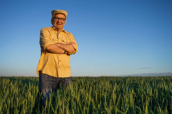 Agricoltore Anziano Piedi Nel Suo Campo Grano Crescita Godersi Tramonto — Foto Stock