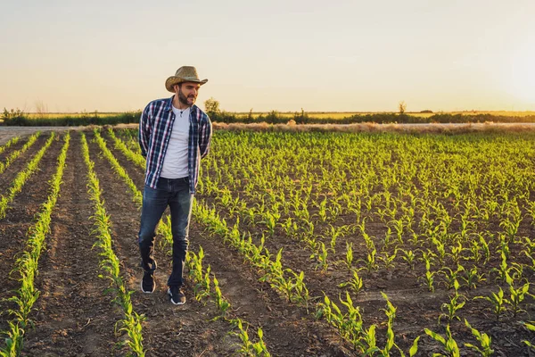 Farmář Prochází Svém Pěstitelském Poli Spokojen Díky Úspěšnému Setí — Stock fotografie