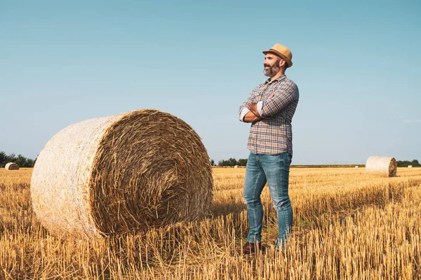 Šťastný Farmář Stojí Vedle Balíků Sena Spokojen Díky Úspěšné Sklizni — Stock fotografie