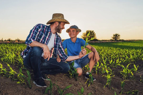 Rodinní Farmáři Stojí Svém Pěstitelském Poli Zkoumají Plodiny Úspěšném Setí — Stock fotografie