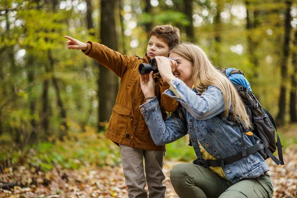 Madre Hijo Felices Están Excursión Bosque Están Observando Naturaleza Con —  Fotos de Stock