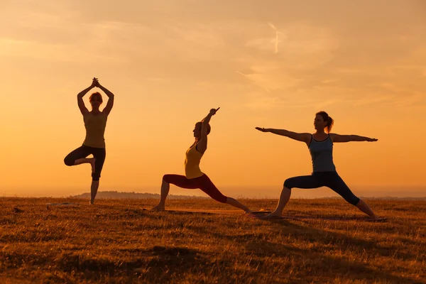 Açık Yoga Sınıfı