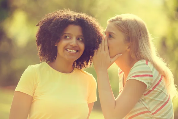 Friends talking — Stock Photo, Image