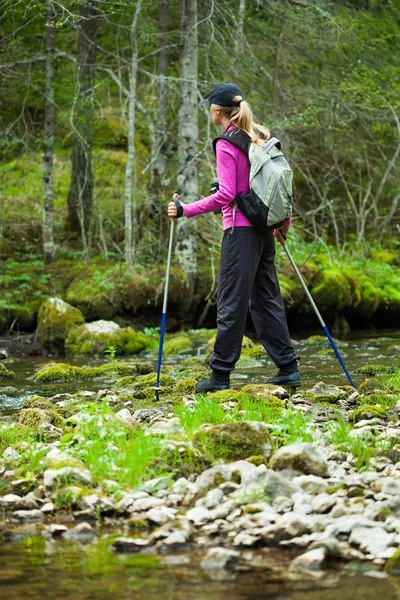 Hiking — Stock Photo, Image