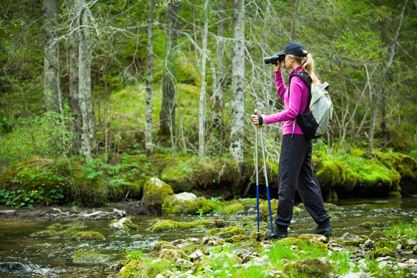 Hiker exploring forest — Stock Photo, Image