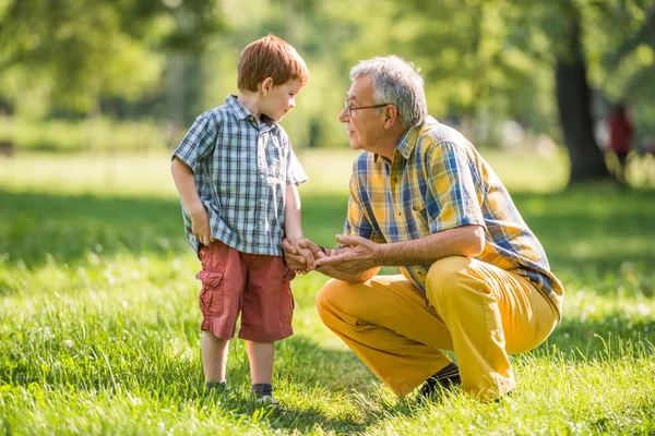 Grandparenting — Stock fotografie