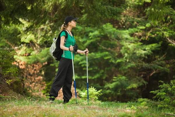 Hiker — Stock Photo, Image