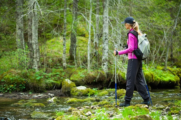 Hiker — Stock Photo, Image