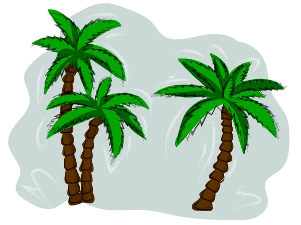 Kézzel Rajzolt Trópusi Pálmafák Vektor Trópusi Fák Illusztrációja — Stock Vector