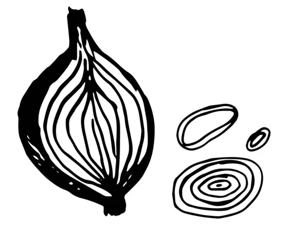 Vector Sketch Onions Isolated White Background Line Silhouette Handmade Black — Wektor stockowy